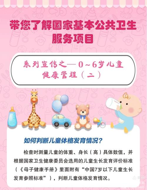 国家基本公共卫生服务项目之